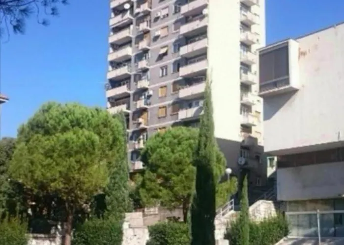 Guver Daire